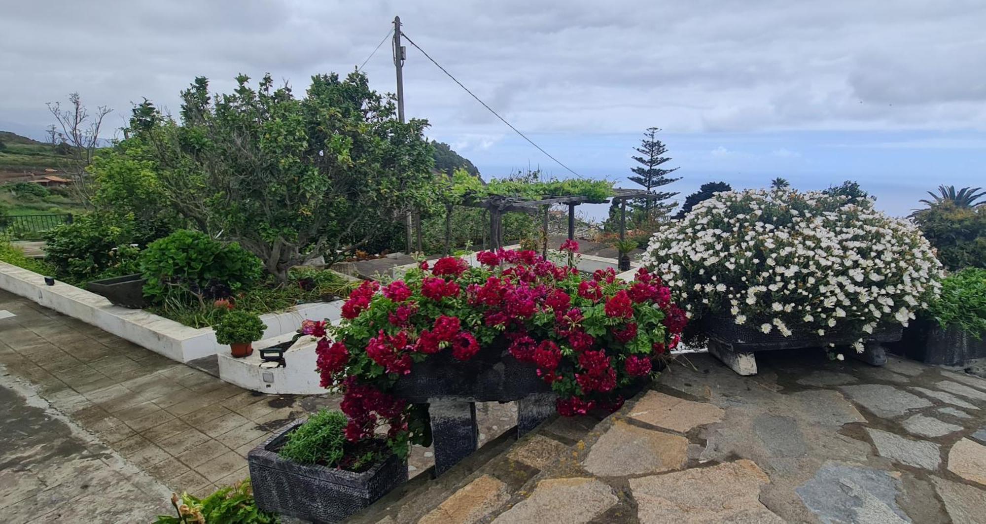 Vivienda Vacacional Finca Monterrey Mazo Bilik gambar